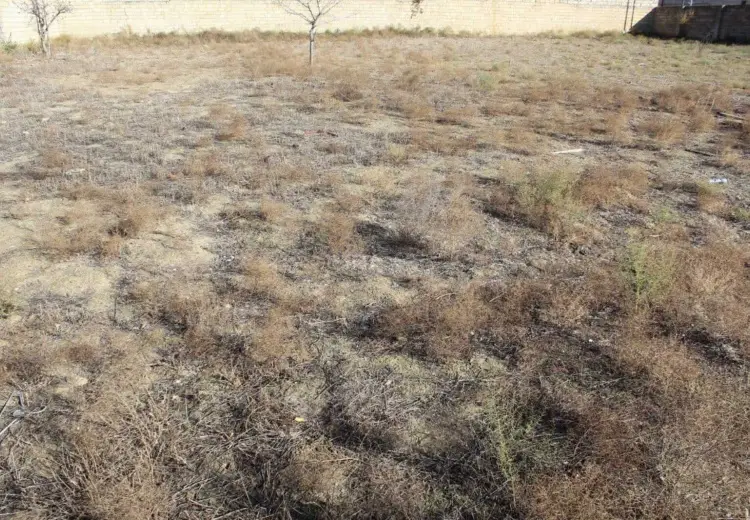 80 sot Torpaq Satılır, Novxanı, Abşeron