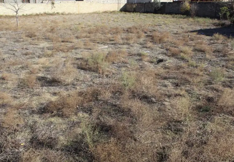 80 sot Torpaq Satılır, Novxanı, Abşeron