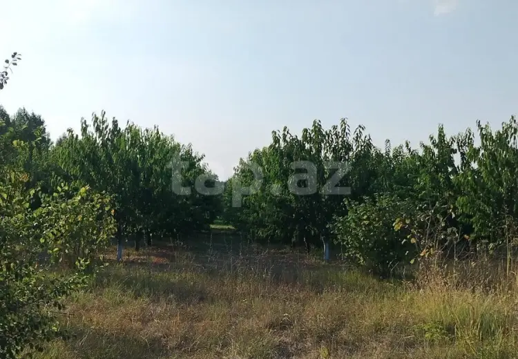 0 m² Obyekt / Ofis , Qusar
