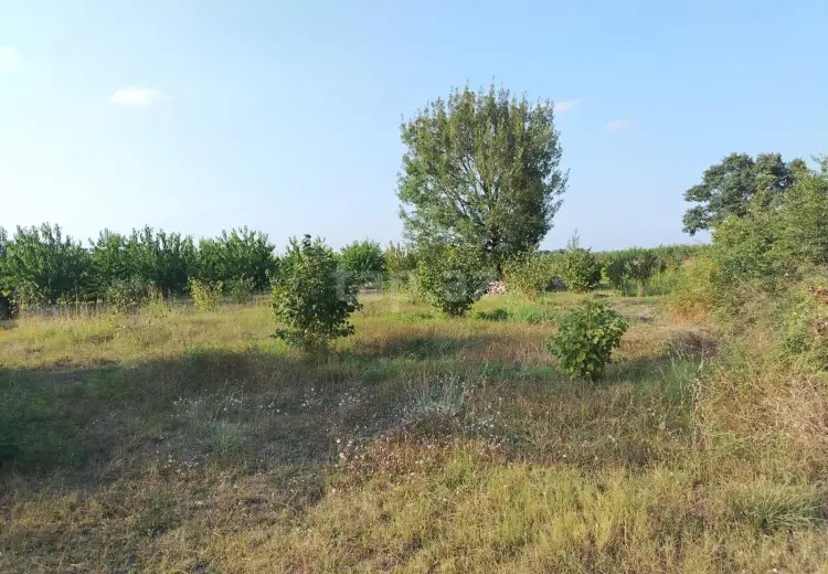 0 m² Obyekt / Ofis , Qusar