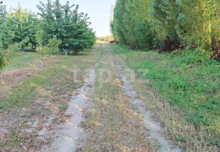 0 m² Obyekt / Ofis , Qusar