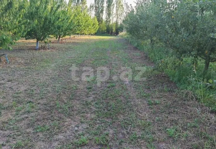 0 m² Obyekt / Ofis , Qusar