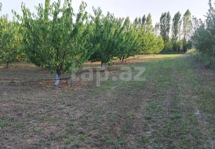 0 m² Obyekt / Ofis , Qusar