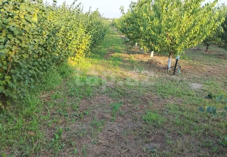 0 m² Obyekt / Ofis , Qusar