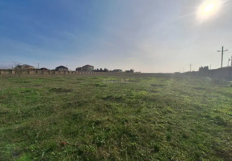 31 sot Torpaq Satılır, Nardaran qəs., Sabunçu, Bakı