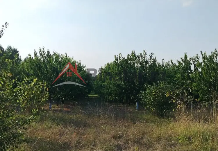 180 sot Torpaq Kirayə (aylıq), Qusar