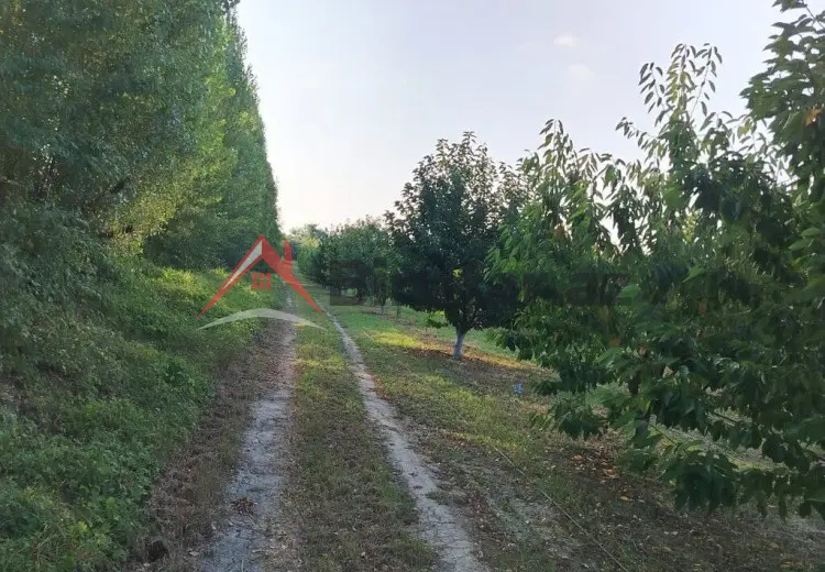 180 sot Torpaq Kirayə (aylıq), Qusar