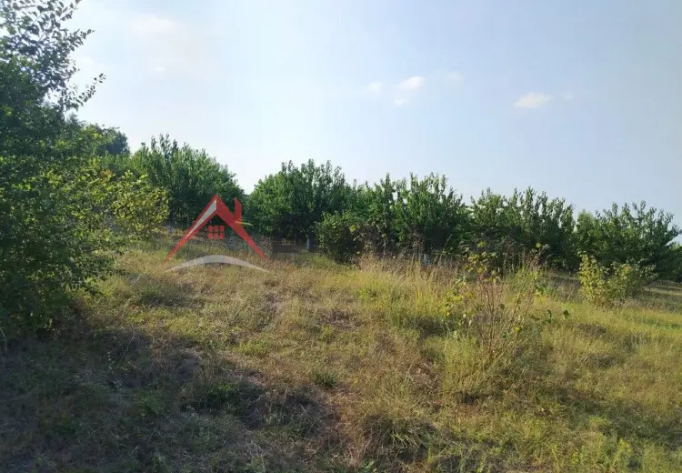 180 sot Torpaq Kirayə (aylıq), Qusar
