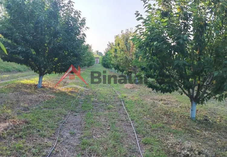 180 sot Torpaq Kirayə (aylıq), Qusar