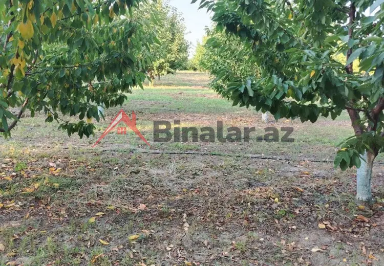 180 sot Torpaq Kirayə (aylıq), Qusar