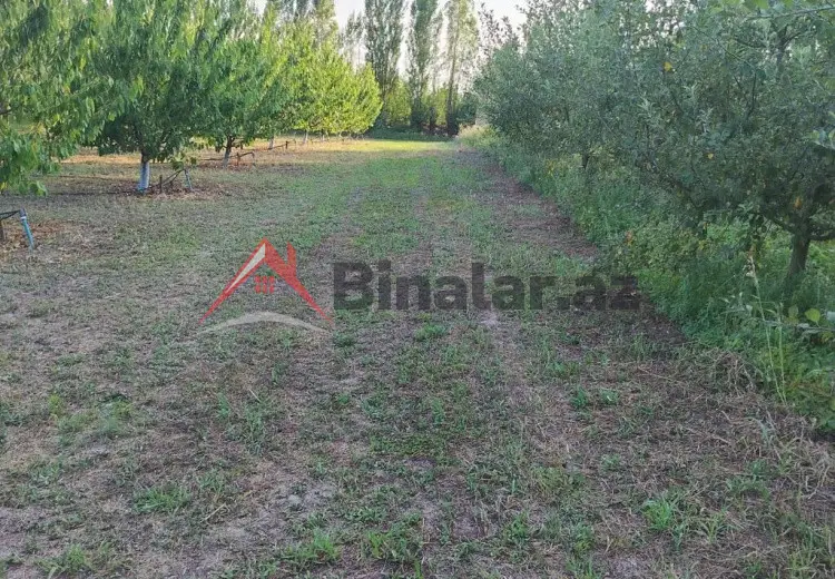 180 sot Torpaq Kirayə (aylıq), Qusar