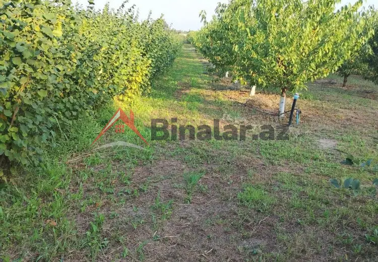 180 sot Torpaq Kirayə (aylıq), Qusar
