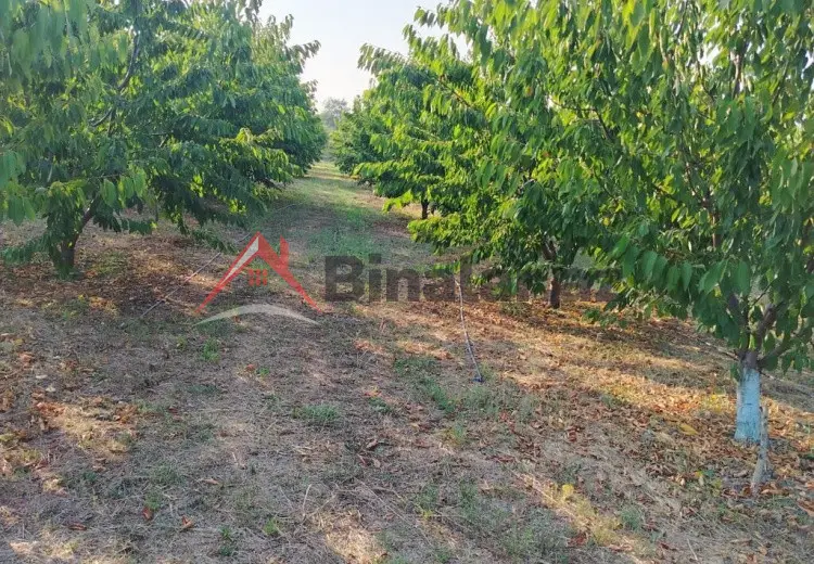 180 sot Torpaq Kirayə (aylıq), Qusar