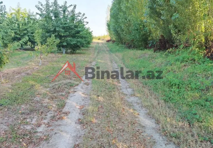 180 sot Torpaq Kirayə (aylıq), Qusar
