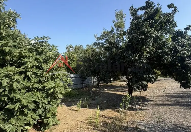 25 sot Torpaq Satılır, Xaçmaz