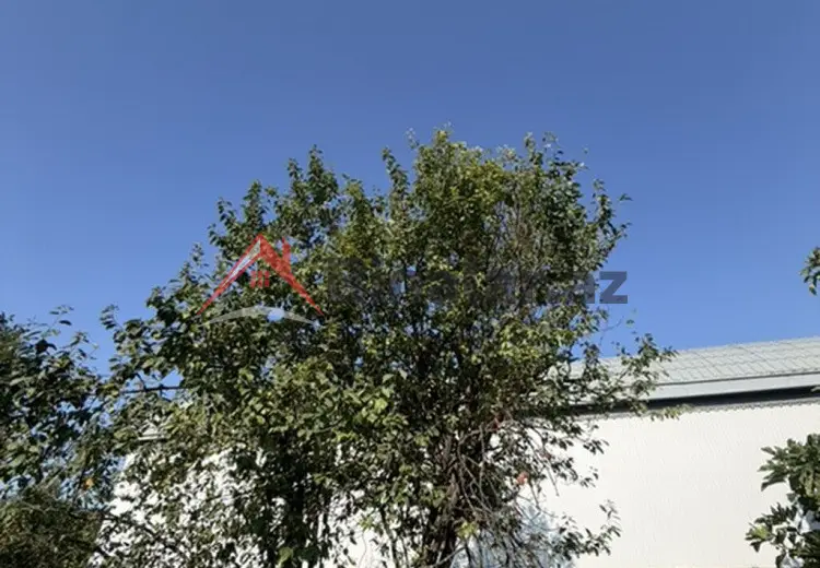 25 sot Torpaq Satılır, Xaçmaz