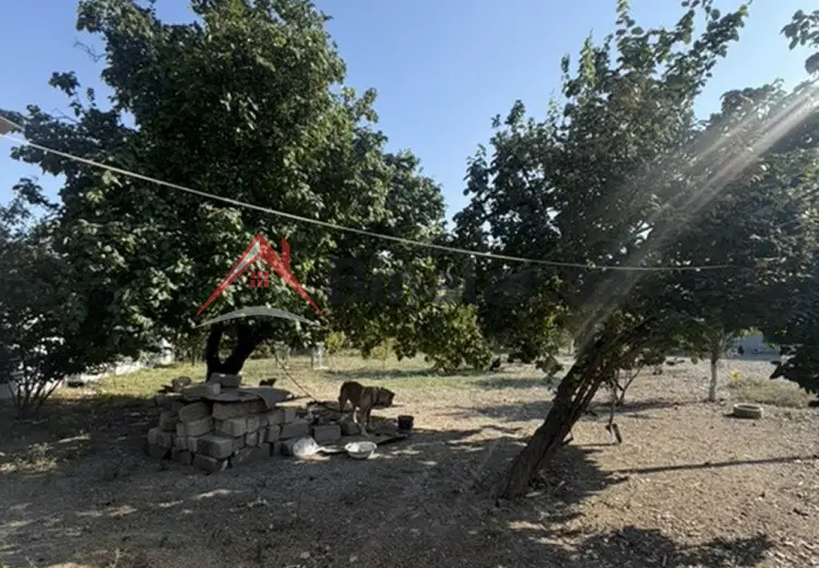 25 sot Torpaq Satılır, Xaçmaz