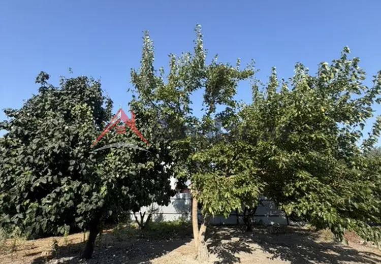 25 sot Torpaq Satılır, Xaçmaz