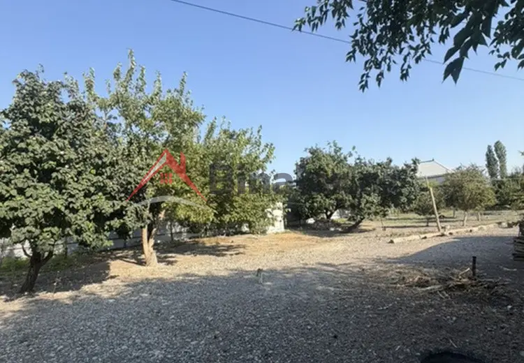 25 sot Torpaq Satılır, Xaçmaz