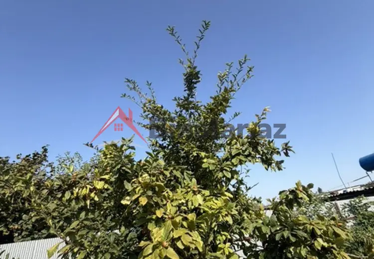 25 sot Torpaq Satılır, Xaçmaz