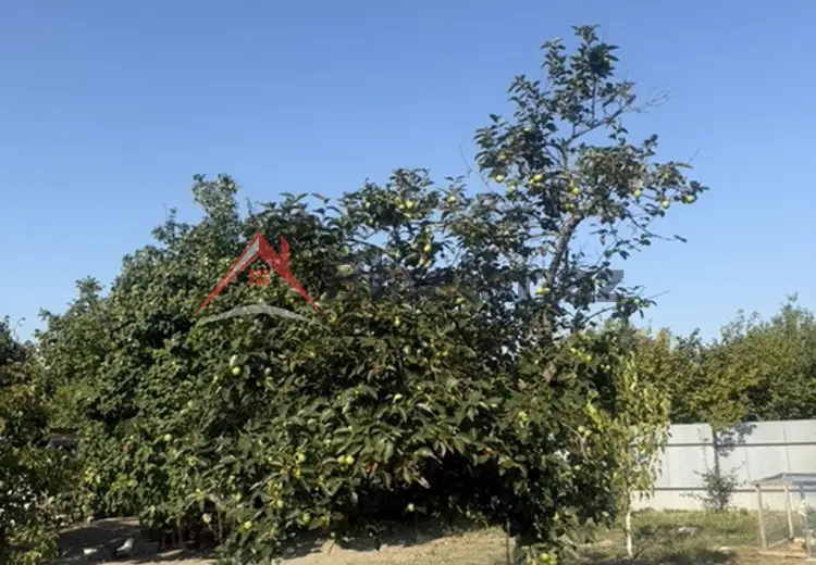 25 sot Torpaq Satılır, Xaçmaz