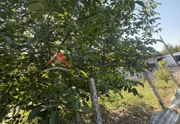 25 sot Torpaq Satılır, Xaçmaz