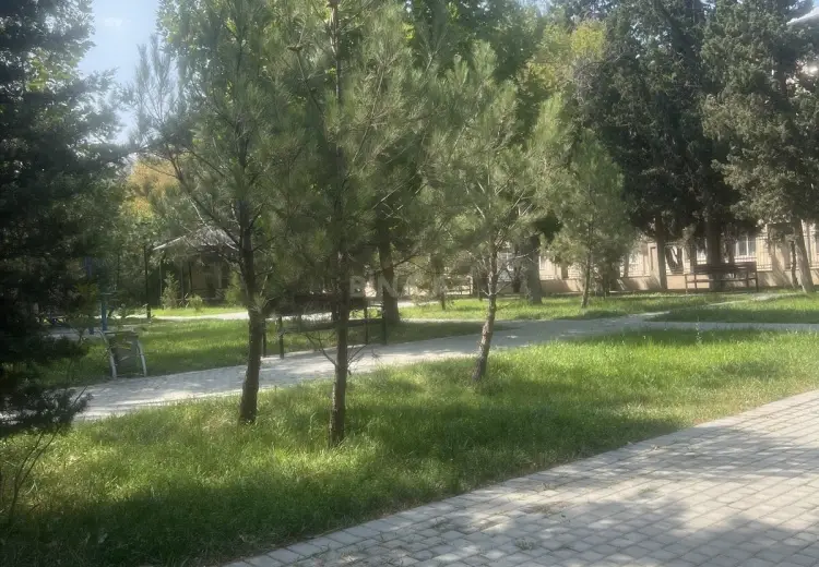 2 otaqlı mənzil Kirayə (aylıq), 6-cı mikrorayon, Binəqədi, Bakı