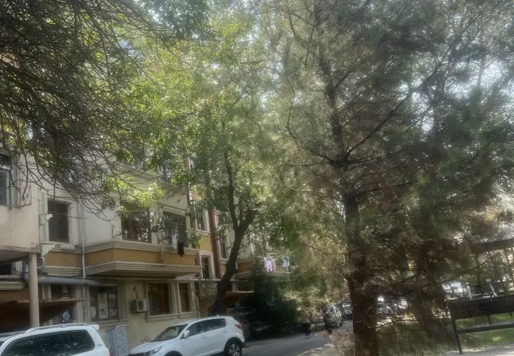 2 otaqlı mənzil Kirayə (aylıq), 6-cı mikrorayon, Binəqədi, Bakı