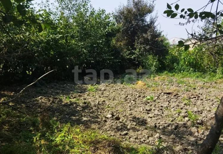 0 m² Obyekt / Ofis , Qusar
