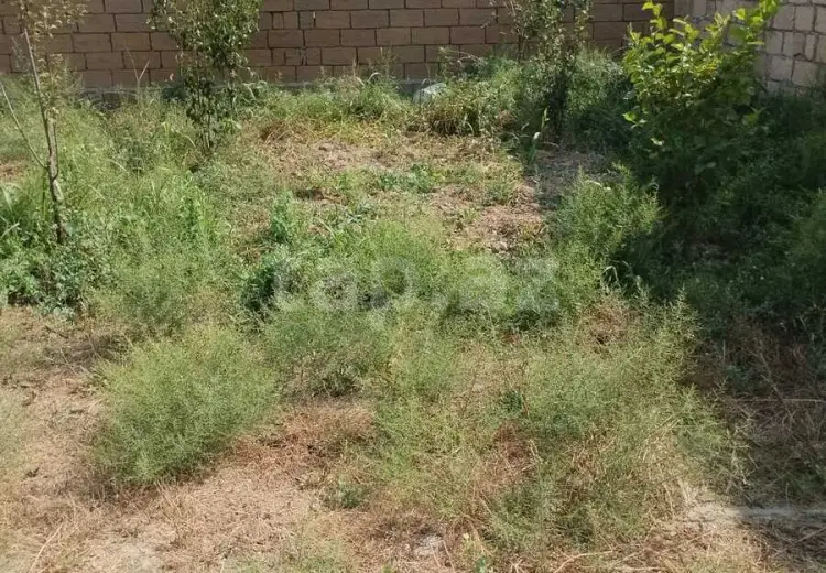 0 m² Obyekt / Ofis , Sumqayıt