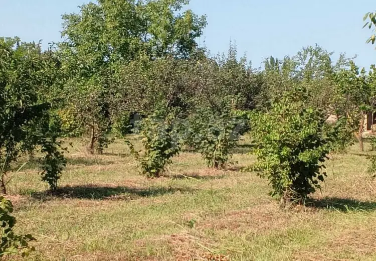 0 m² Obyekt / Ofis , Şabran