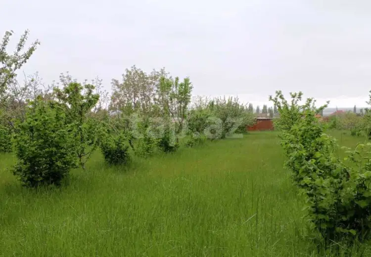 0 m² Obyekt / Ofis , Şabran