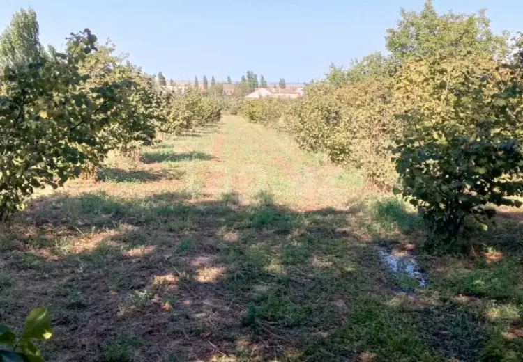 0 m² Obyekt / Ofis , Şabran