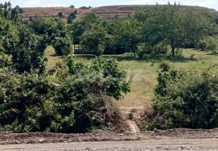 0 m² Obyekt / Ofis , Şabran