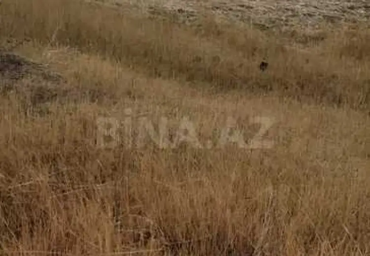 3939 sot Torpaq Satılır, Qobustan şəh., Qobustan