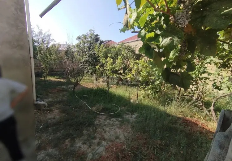 0 m² Obyekt / Ofis , Sumqayıt