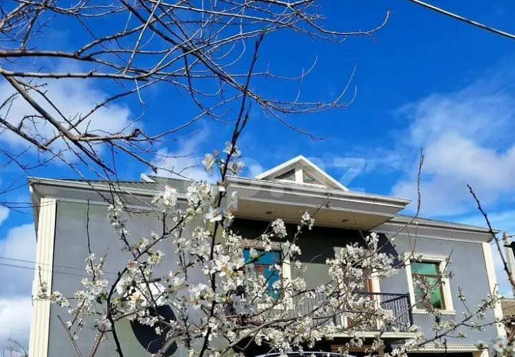 7 otaqlı mənzil , Şirvan