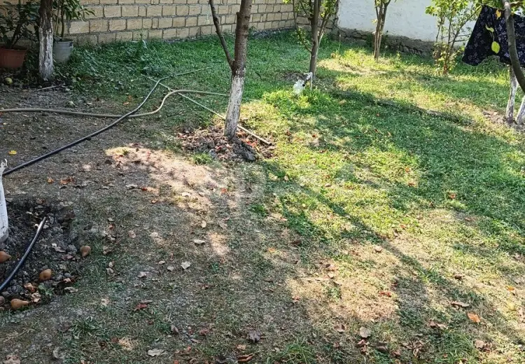 0 m² Obyekt / Ofis , Qəbələ