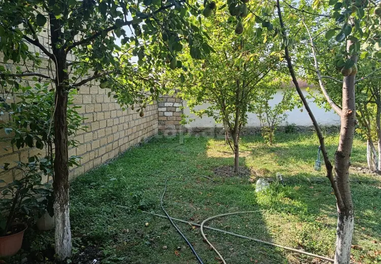 0 m² Obyekt / Ofis , Qəbələ