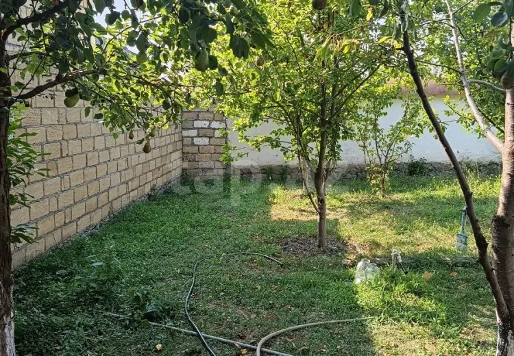 0 m² Obyekt / Ofis , Qəbələ