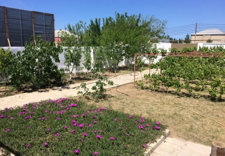 12 sot Torpaq Satılır, Nardaran qəs., Sabunçu, Bakı