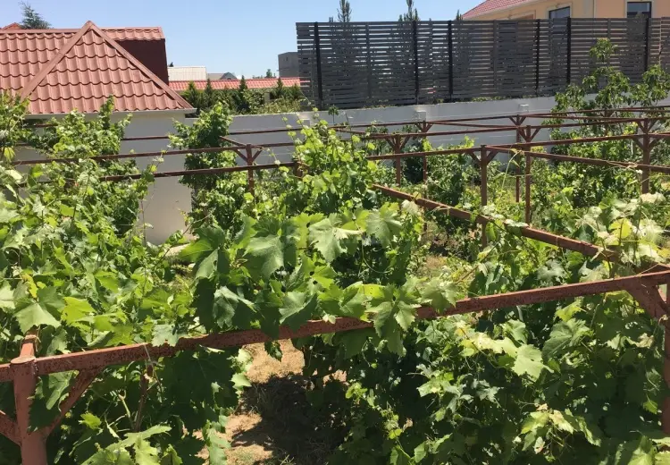 12 sot Torpaq Satılır, Nardaran qəs., Sabunçu, Bakı