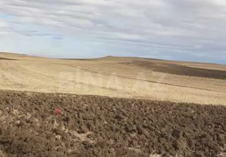 6400 sot Torpaq Satılır, Qobustan şəh., Qobustan
