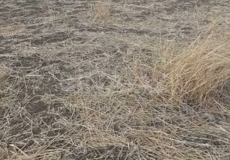 6400 sot Torpaq Satılır, Qobustan şəh., Qobustan