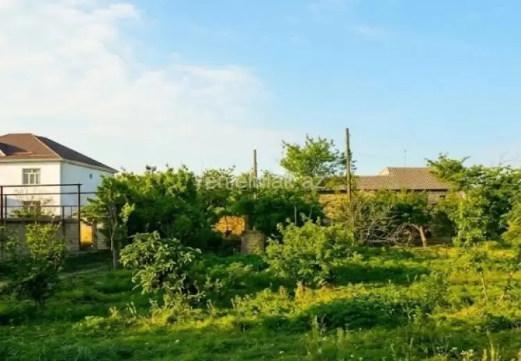 9 sot Torpaq Satılır, Novxanı, Abşeron