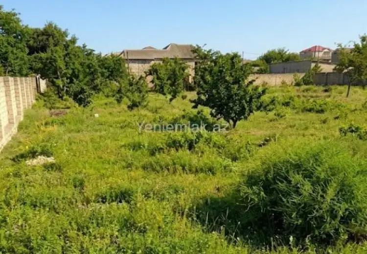 9 sot Torpaq Satılır, Novxanı, Abşeron