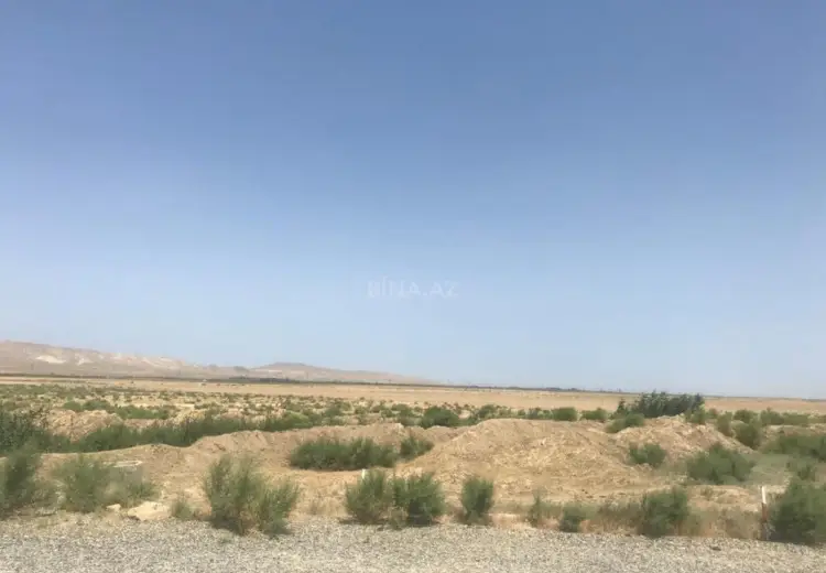 5927.8 sot Torpaq Satılır, Hacıqabul