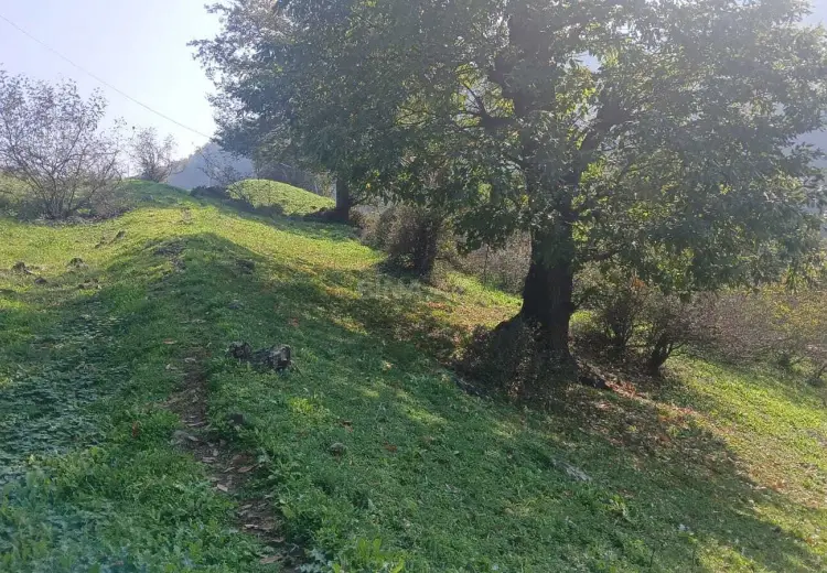50 sot Torpaq Satılır, Şıxlar qəs., Yardımlı