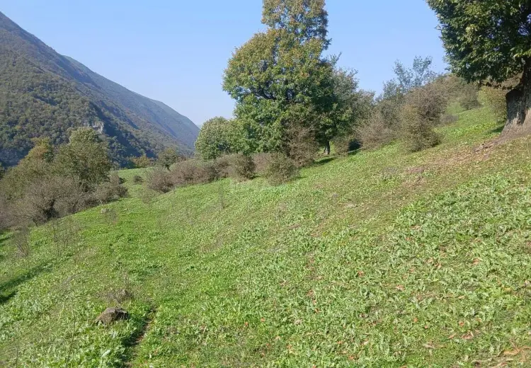 50 sot Torpaq Satılır, Şıxlar qəs., Yardımlı