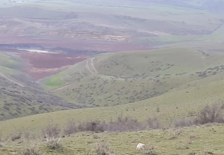 8000 sot Torpaq Satılır, Şabran